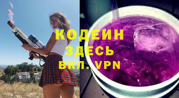 индика Кодинск