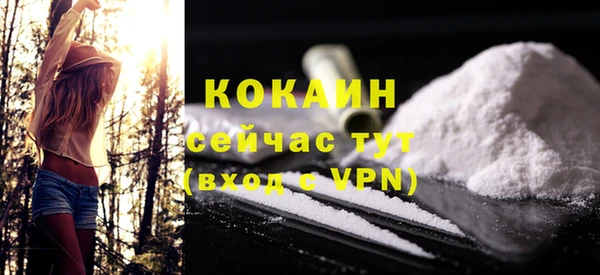 индика Кодинск